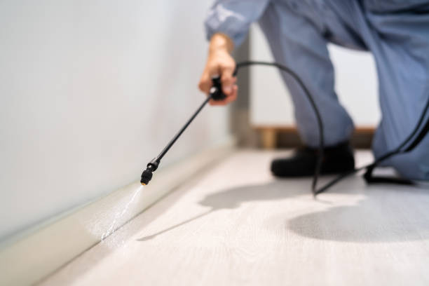 Bed Bug Pre-Treatment Preparation Assessment in Marlin